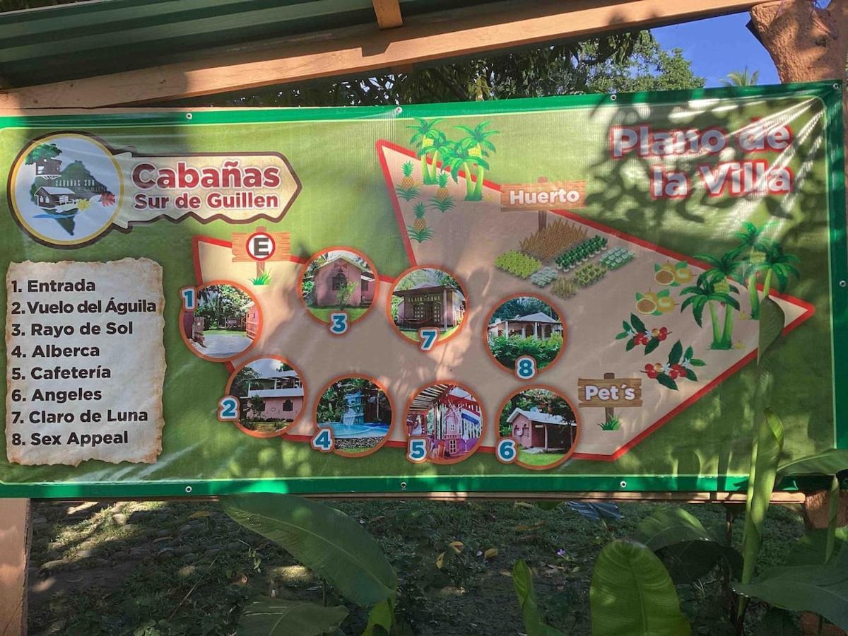 Agua Bendita Exotic Flower Cabin2 Pool מראה חיצוני תמונה