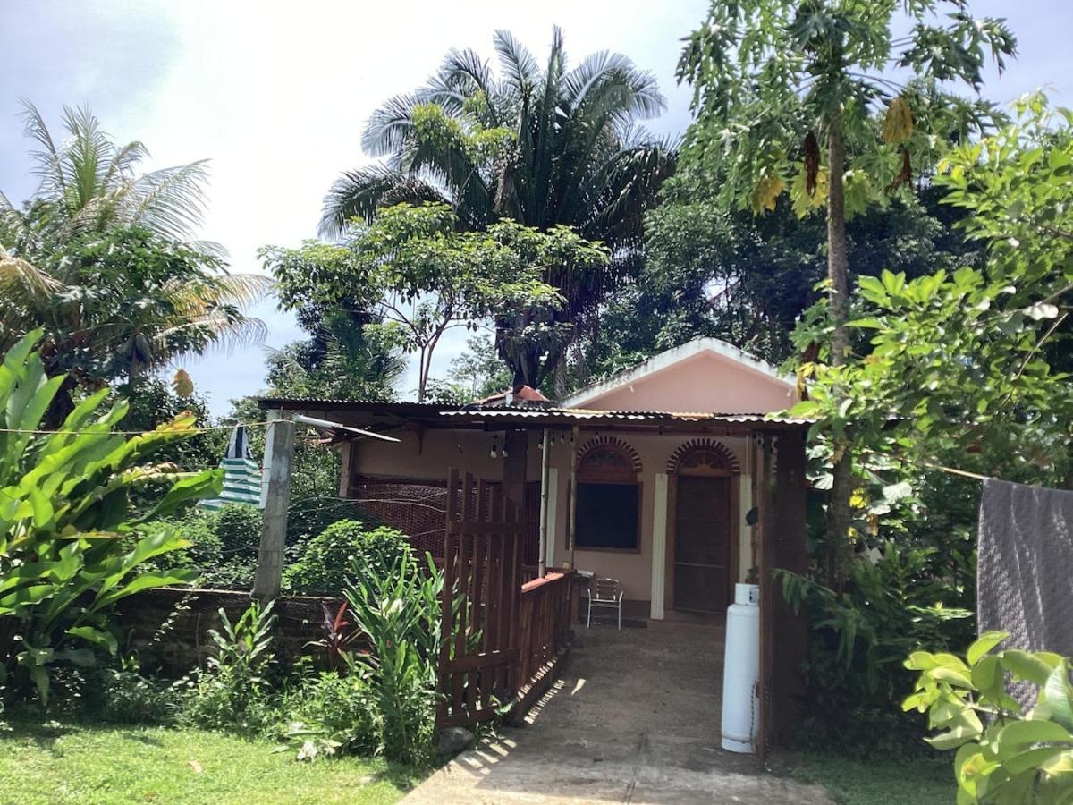 Agua Bendita Exotic Flower Cabin2 Pool מראה חיצוני תמונה